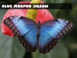 Jigsaw Morpho Fluture Albastru